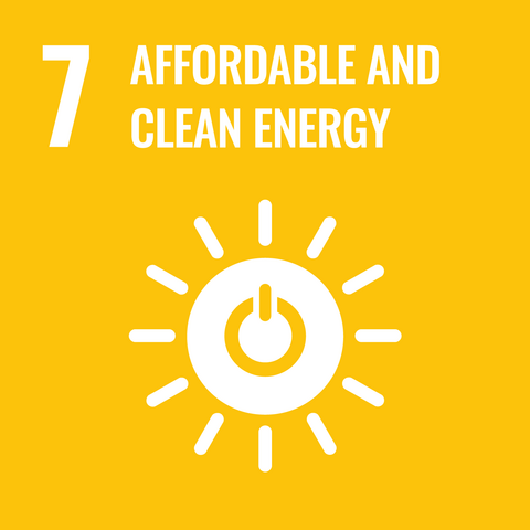 Affordable and clean energy (SDG 7)