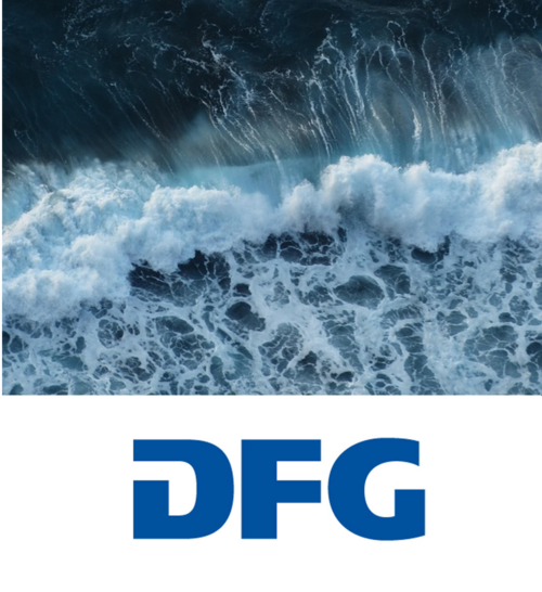Wellen + DFG Logo