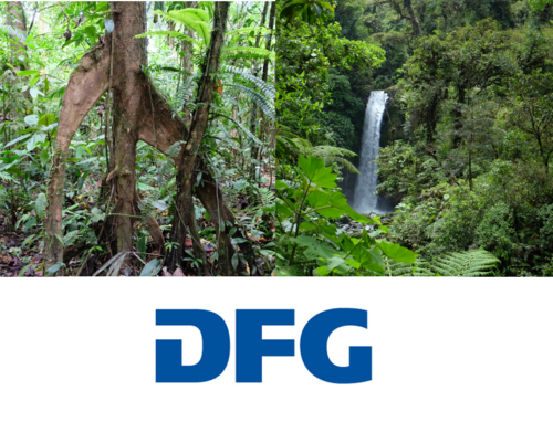 Wald + DFG Logo