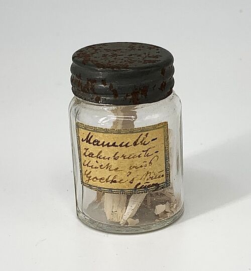 [Abb. 5] Bruchstücke eines Mammut-Stoßzahns aus Goethes Sammlung.